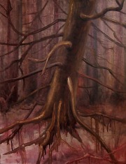 Šumava - Smrk (2014), olej na plátně
